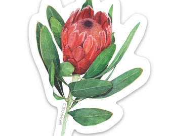 Protea Flower 3" Waterproof Vinyl Sticker for Water Bottles, Laptops, Phones & More **FREE USA SHIPPING**