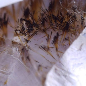 May include: Close-up of a clear quartz crystal with internal inclusions. The crystal features black and gold needle-like structures, creating a striking contrast against the transparent background. The crystal has a fractured appearance.