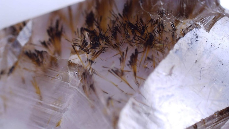 May include: Close-up of a clear quartz crystal with internal inclusions. The crystal features black and gold needle-like structures, creating a striking contrast against the transparent background. The crystal has a fractured appearance.