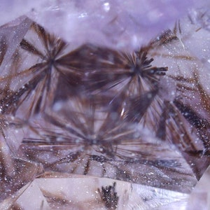 May include: Close-up of a translucent, light purple crystal with dark brown, needle-like inclusions radiating from central points. The crystal's facets are visible, and the inclusions create a starburst effect. Tiny white specks are scattered throughout the crystal.
