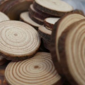 Wholesale Poplar wood slices for crafting | Packs of 50 wood slices for pyrography and woodburning | Buy wood slices in bulk | UK Seller