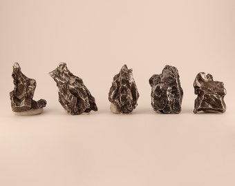 Ejemplares de meteoritos de Campo del Cielo / Meteoritos de hierro y níquel de Argentina / Compre una roca espacial genuina