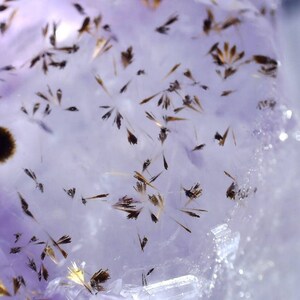 May include: Close-up of a translucent, light purple crystal with inclusions. The crystal has a glassy appearance, with numerous small, dark brown, needle-like structures and some larger, fluffy dark brown inclusions scattered throughout.