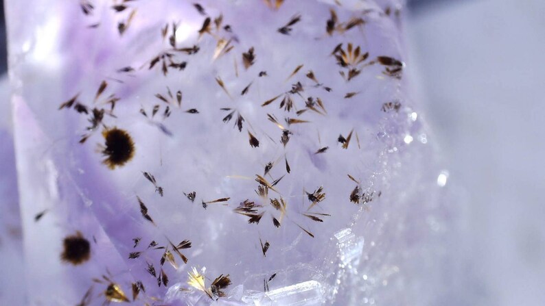 May include: Close-up of a translucent, light purple crystal with inclusions. The crystal has a glassy appearance, with numerous small, dark brown, needle-like structures and some larger, fluffy dark brown inclusions scattered throughout.