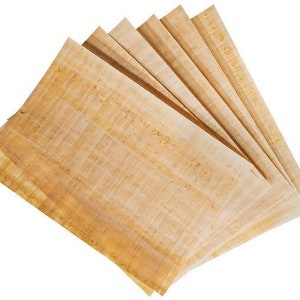 10 Egyptian Papyrus blank paper Handmade Sheets for Art Project scrapbook  8”-12”