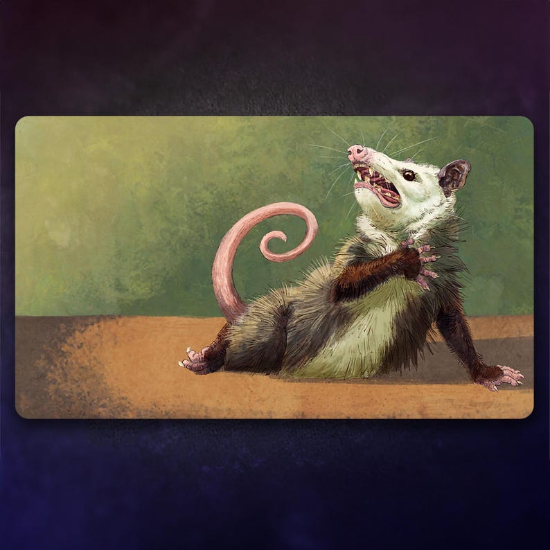 May include: A white and brown opossum with a pink curled tail is sitting on a brown surface with a green background. The opossum has its mouth open and its teeth are visible.