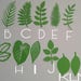 Wild, jungle leaves,safari,table decorations,background prop,baby shower, birthday,party decoration,leaf cutouts,die cuts