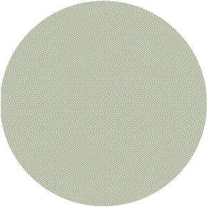 May include: A solid, light green circle with a textured surface. The texture is created by a pattern of small, evenly spaced white dots. The overall appearance is smooth and uniform, with a subtle, matte finish.