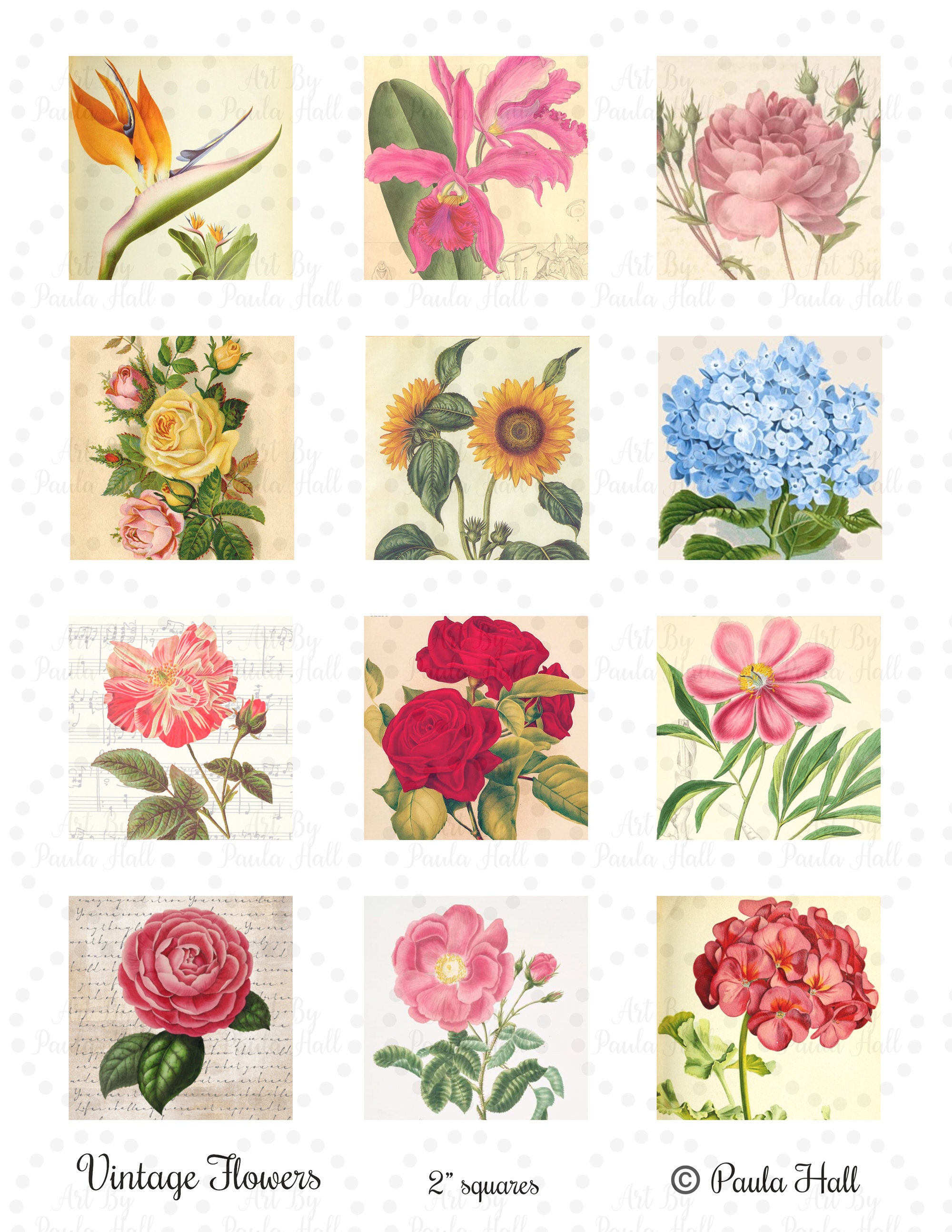 Vintage Flowers Digital Collage Sheet - Etsy