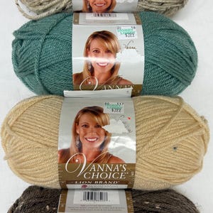 lion brand Vanna’s  choice