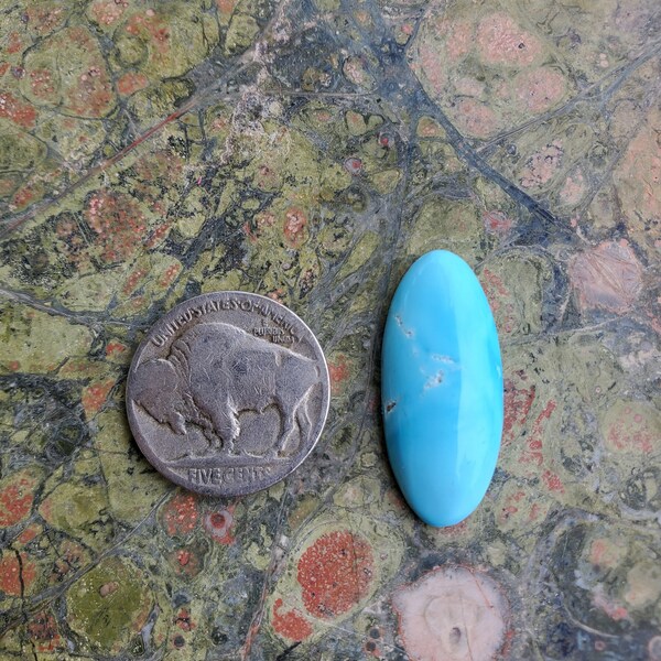 Blue Bird Turquoise Cabochon K03