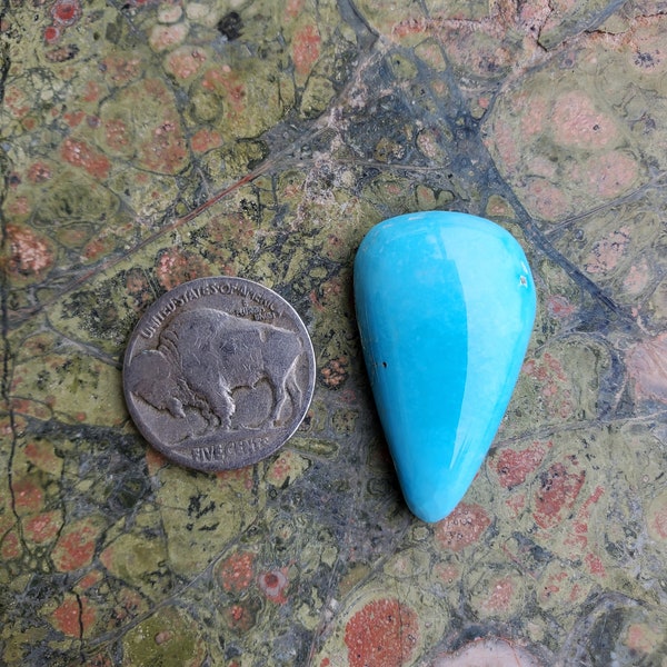 Blue Bird Turquoise Cabochon K02