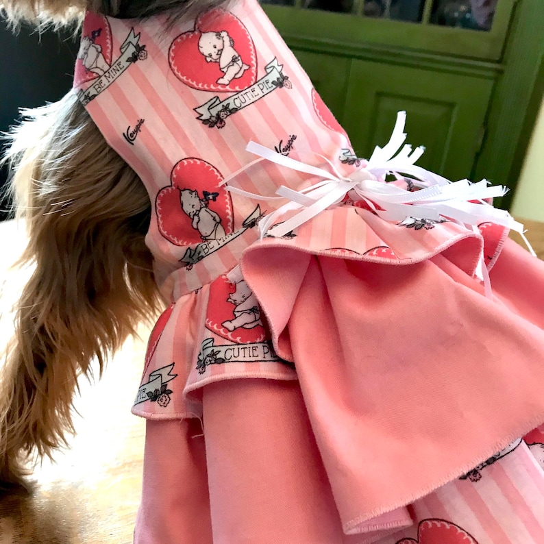 Valentine Dog Dress Valentine/'s Dog Dress Dog Valentines Day Dresses Valentine Dog Valentine/'s Day Dog Dress Dog Valentine Dress