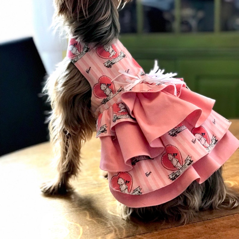 Valentine Dog Dress Valentine/'s Dog Dress Dog Valentines Day Dresses Valentine Dog Valentine/'s Day Dog Dress Dog Valentine Dress