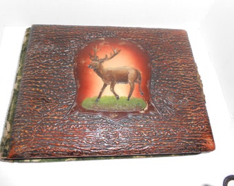 Antique Photo Album Celluloid cover VICTORIAN deer buck stag hunting cabin lock velvet gold green picture pristine rare