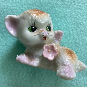 Small Kitten