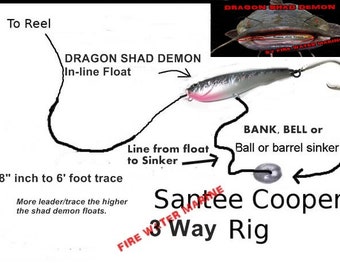 Heart Pounder Demon Dragon Style Catfish Rattle Float for Santee