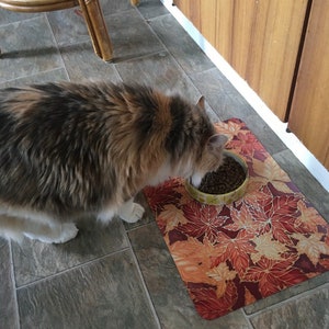 Puede incluir: Un gato calico comiendo comida seca para gatos de un taz&oacute;n amarillo en una alfombra con estampado de hojas rojas y naranjas.