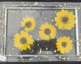 Serving Tray or bathroom trays.