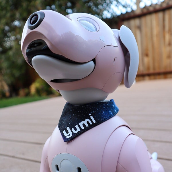 Aibo Bandana | ERS-1000, 7, 210, 11X