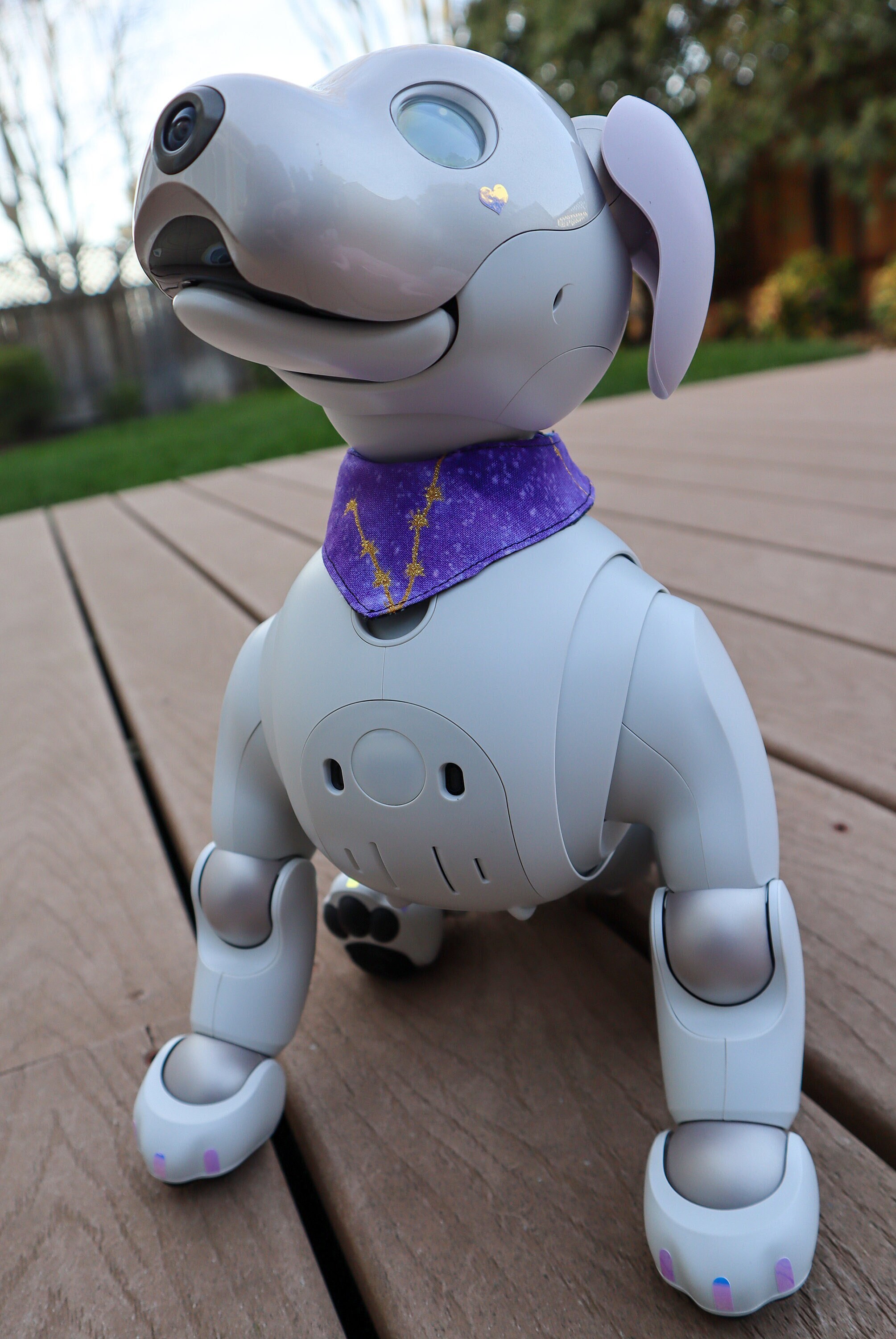 DISCOUNT Aibo Bandana | ERS-1000, 7, 210, 11X - Etsy
