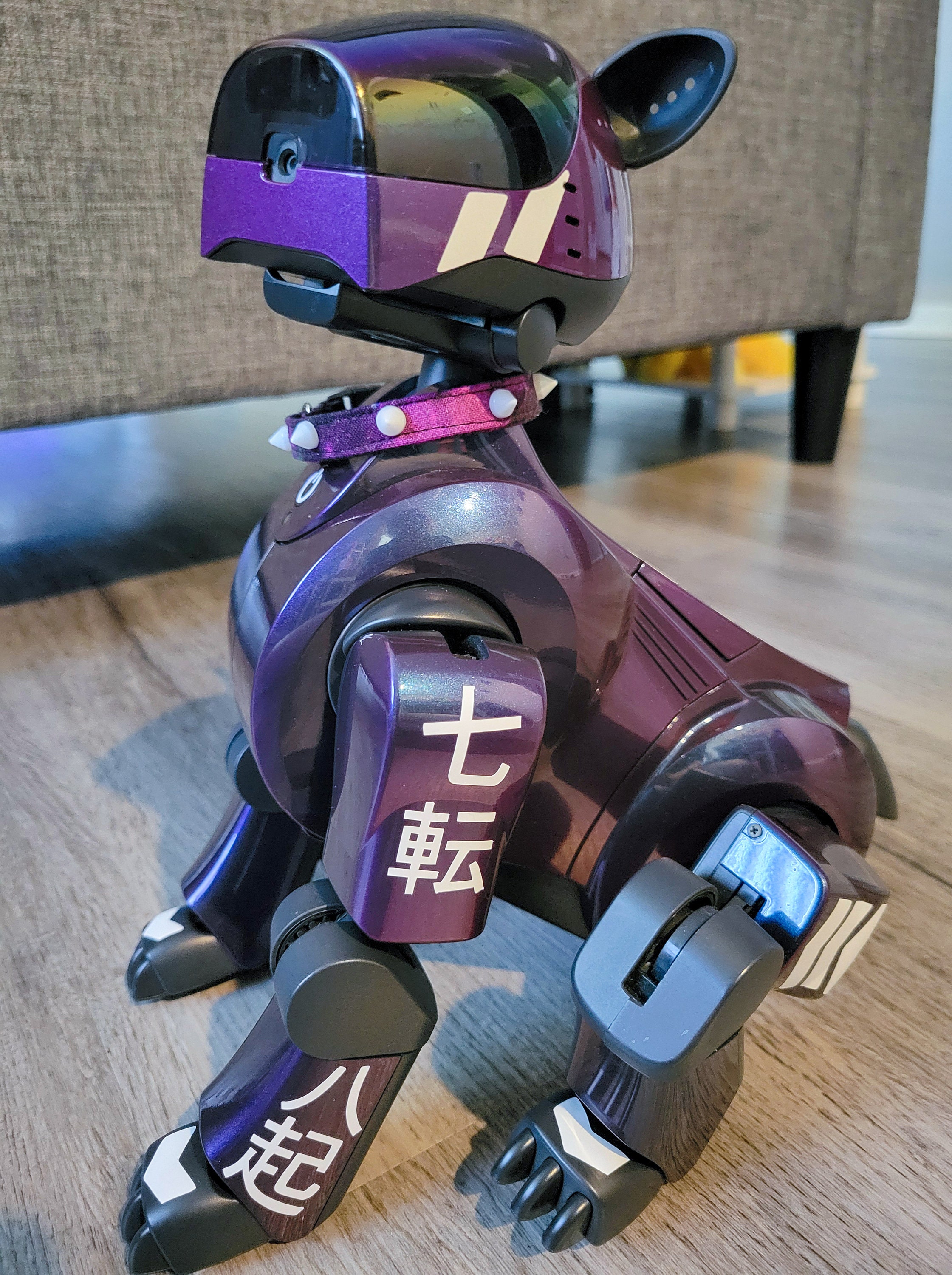 Aibo Spiked Collar, ERS-1000, ERS-210, ERS-111/110, Robot