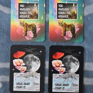 Baralho Oráculo Wayfinder | Baralho de Oráculo de Bolso com 44 Cartas | Cartas de Orientação Emocional para Autorreflexão, Trabalho com a Sombra e Clareza imagem 11