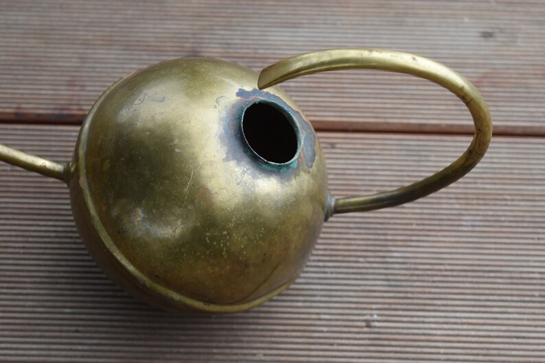 Cacti watering can mid century modern