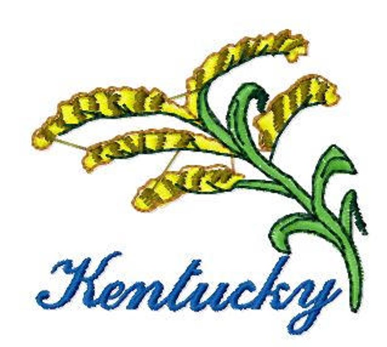 Kentucky State Flower Embroidery Design Kentucky Goldenrod Etsy