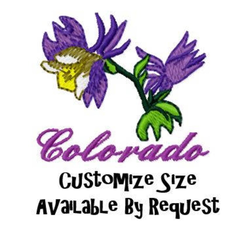 Colorado state flower embroidery design rocky mountain  etsy