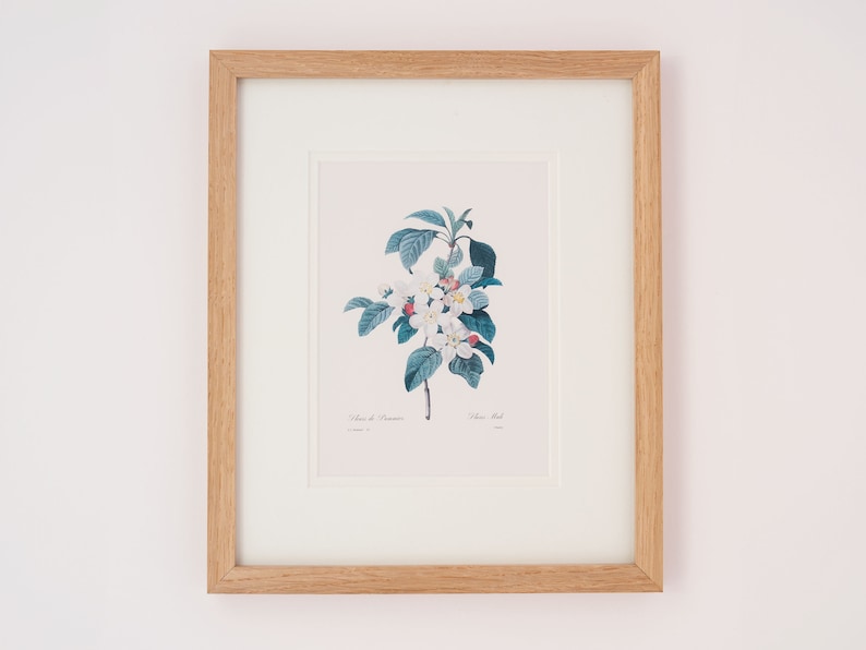 Vintage Botanical Art Print Framed Redouté Antique Flower Engraving