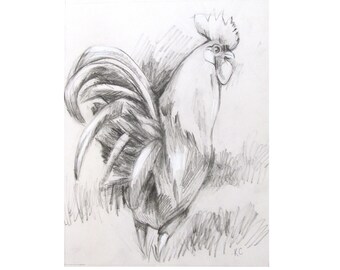 Rooster chicken print from original charcoal drawing rooster animal bird print bird lover gifts wall art A4 fine art print.