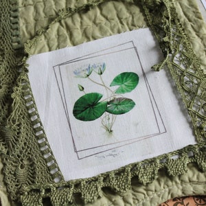 Transfert illustration ancienne plante, transfert image romantique,
