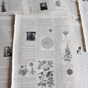 Grandes pages de dictionnaire ancien de 1920 x 30 , pour journal, collage, arts du papier, scrapbooking,3520