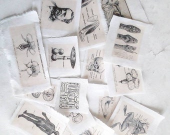 16 vignettes on old linen Cabinet of curiosities Embellishments, image transfer, linen gift tag, fabric bookmark 1133vignette