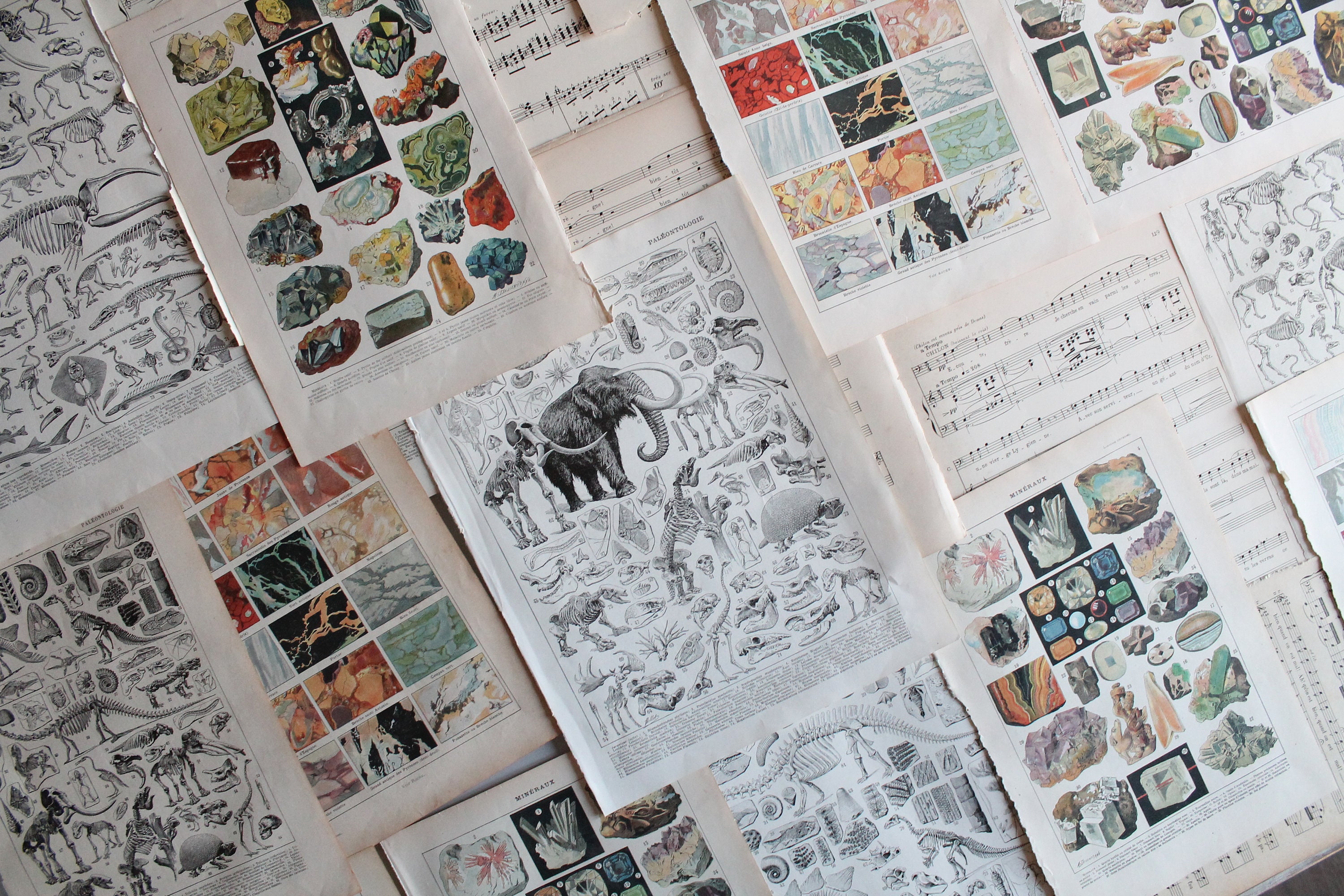 4 Illustrations Françaises Anciennes Authentiques de 1925 et Partitions Musique Anciennes, 3479