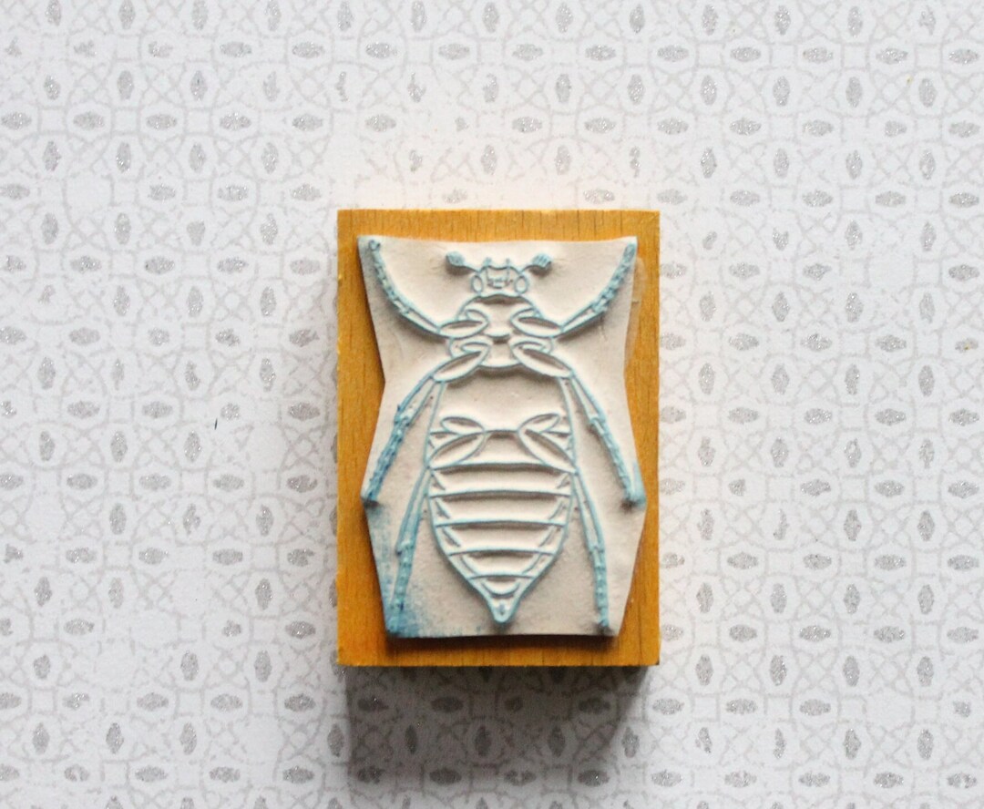 INSECT Anatomy Vintage Rubber Stamp From the 1960s, 4415 - Etsy