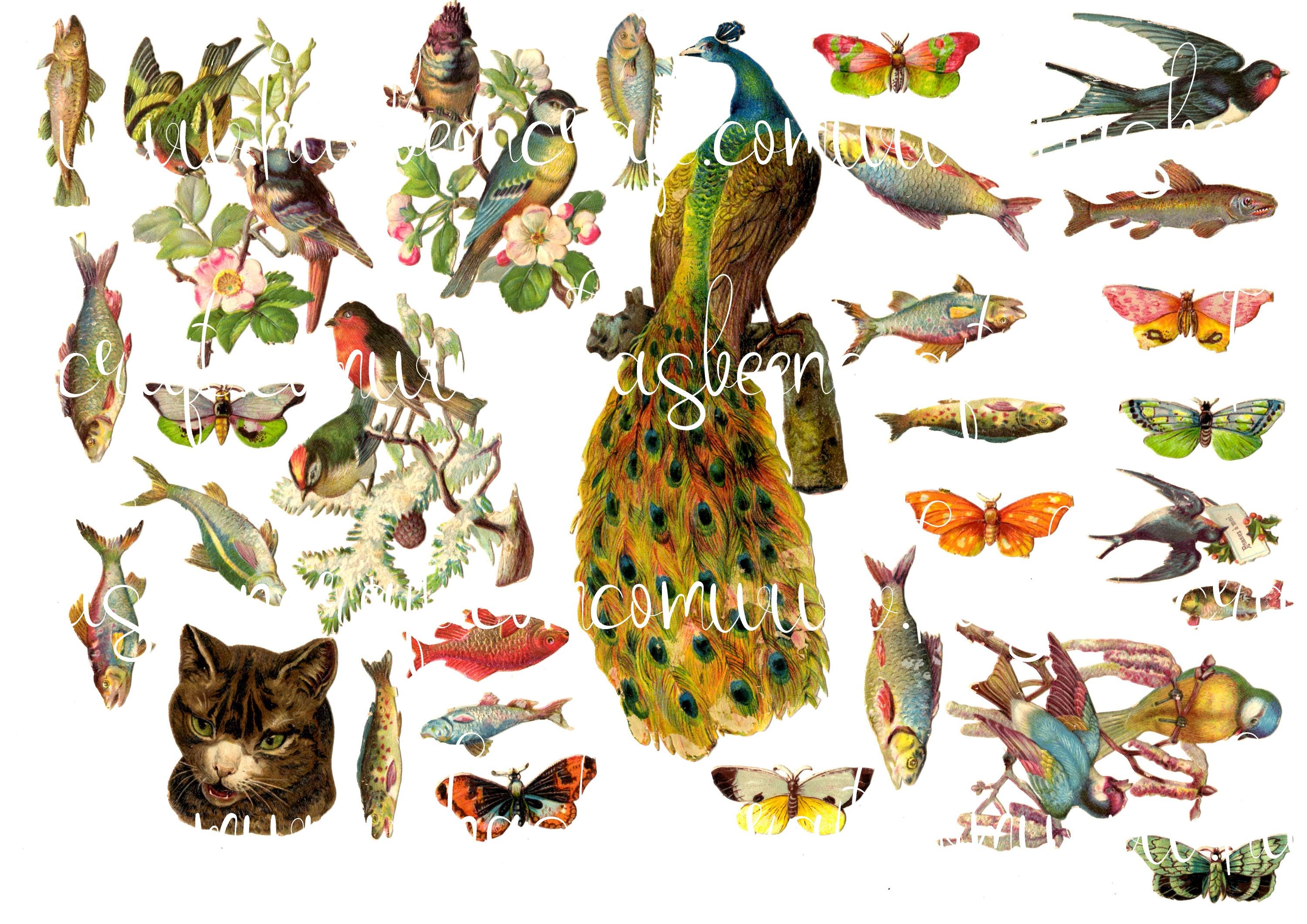 16 CHROMOS XIXÈ Découpis Personnages Fleurs Gaufrés Victorian Scrap