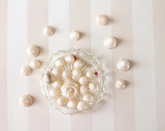28 Antique French Shell Mother of Pearl Beads