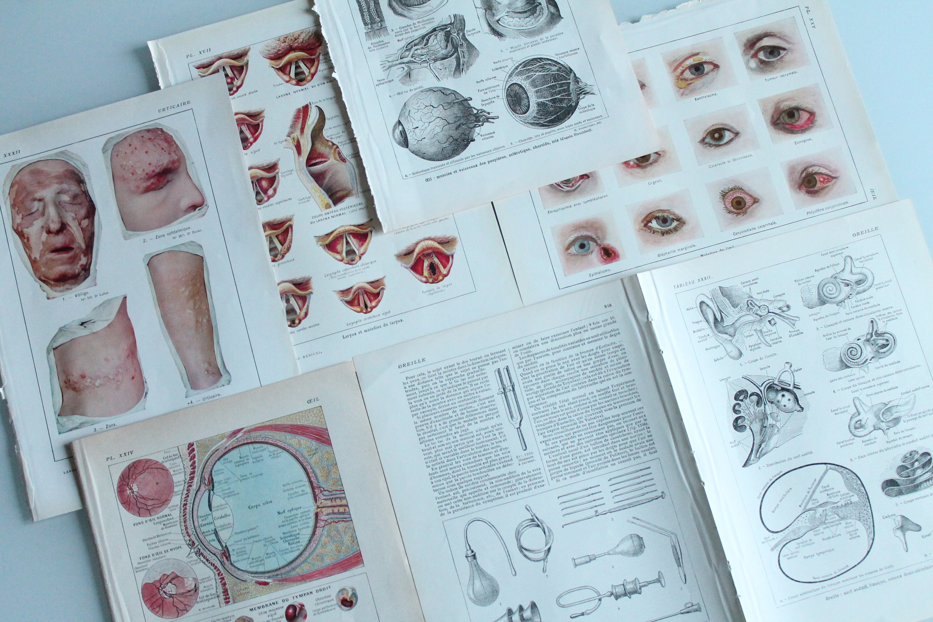 Illustrations Françaises Anciennes Authentiques de 1925 Oeil/Nez/Oreille, 3481