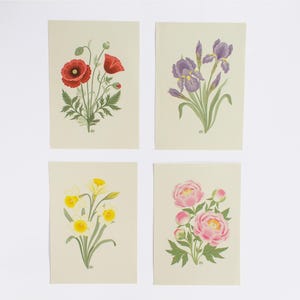 Primavera Botanica | set di 4 stampe con Illustrazioni originali con fiori primaverili | Iris, Papaveri, Narcisi, Peonie