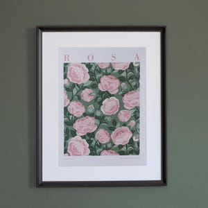Stampa con motivo floreale | A4/A3 | Illustrazione originale con Rose