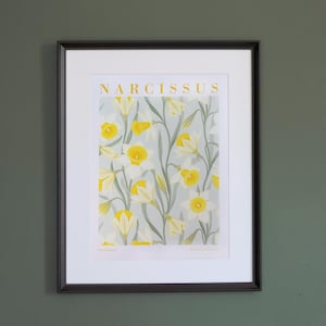 Stampa con motivo floreale | A4/A3 | Illustrazione originale con Narcisi