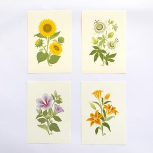 Estate Botanica | set di 4 stampe con Illustrazioni originali con fiori estivi | Girasole, Passiflora, Giglio, Ibisco