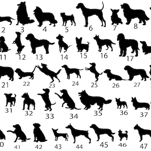 Taarttopper hond kat huisdier add-on