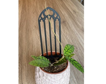 Plant support, Plant trellis, Gothic church window decor