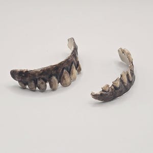May include: A set of two curved, prosthetic dental pieces featuring a dark, weathered, and stained appearance. Each piece displays a row of pointed, tooth-like structures with uneven, jagged edges and a textured, brownish-black finish throughout.
