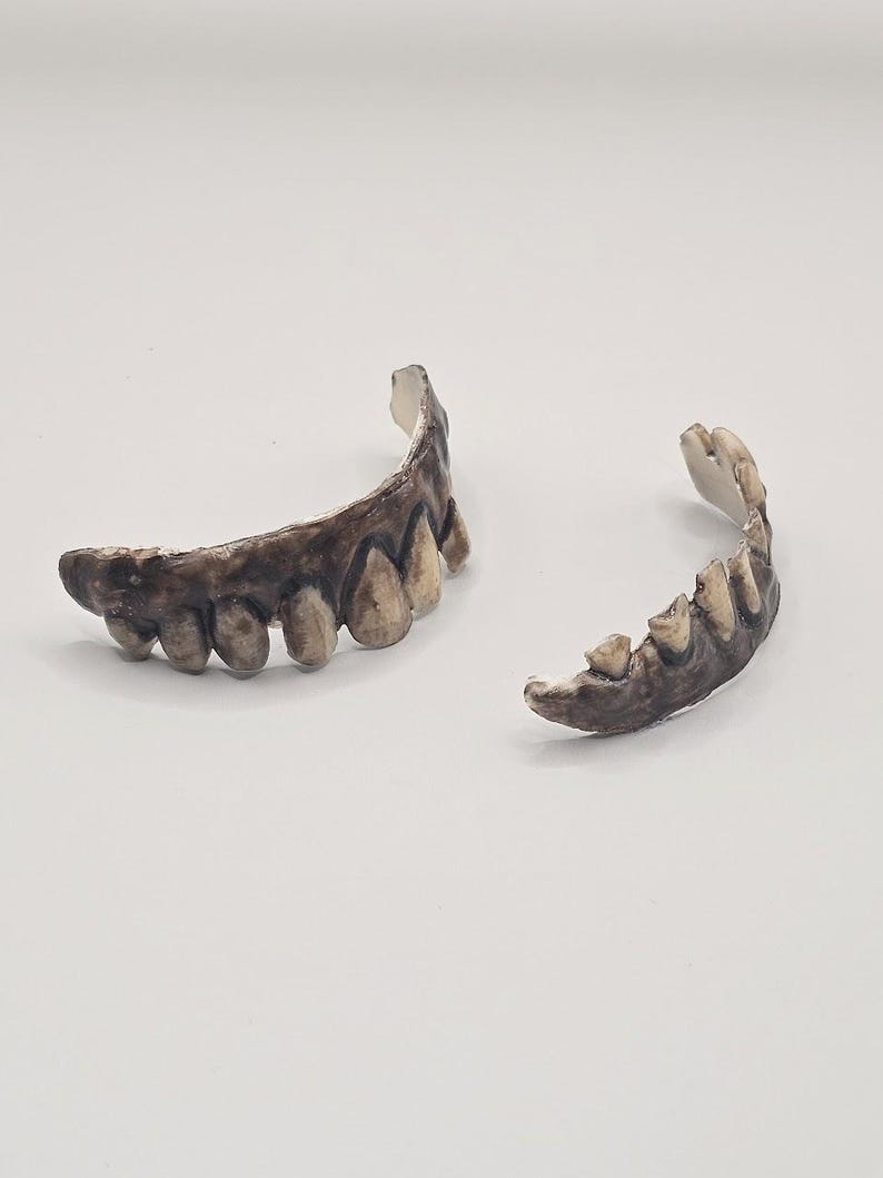 May include: A set of two curved, prosthetic dental pieces featuring a dark, weathered, and stained appearance. Each piece displays a row of pointed, tooth-like structures with uneven, jagged edges and a textured, brownish-black finish throughout.