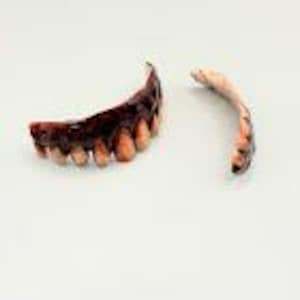 May include: A set of two prosthetic dental appliances featuring a row of decayed, stained teeth with dark brown and yellow discoloration. The larger piece is a curved arch of teeth, while the smaller piece is a thinner, curved dental segment.