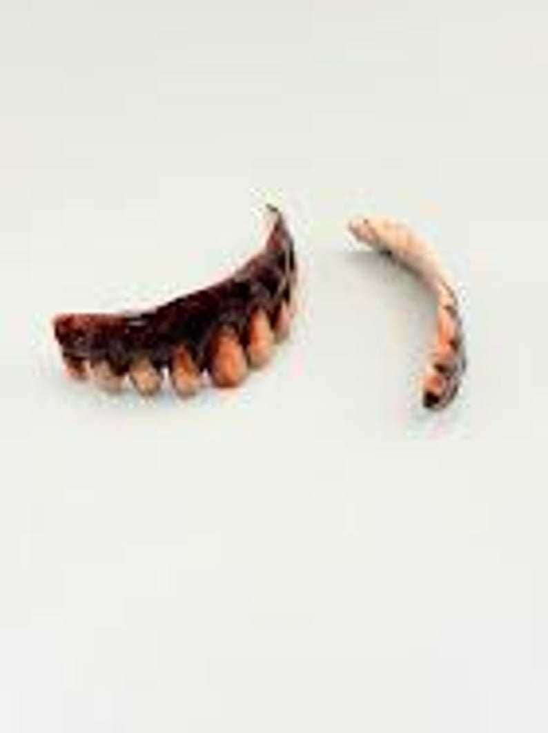 May include: A set of two prosthetic dental appliances featuring a row of decayed, stained teeth with dark brown and yellow discoloration. The larger piece is a curved arch of teeth, while the smaller piece is a thinner, curved dental segment.